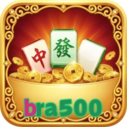 bra500