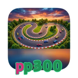 pp300