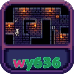 wy636